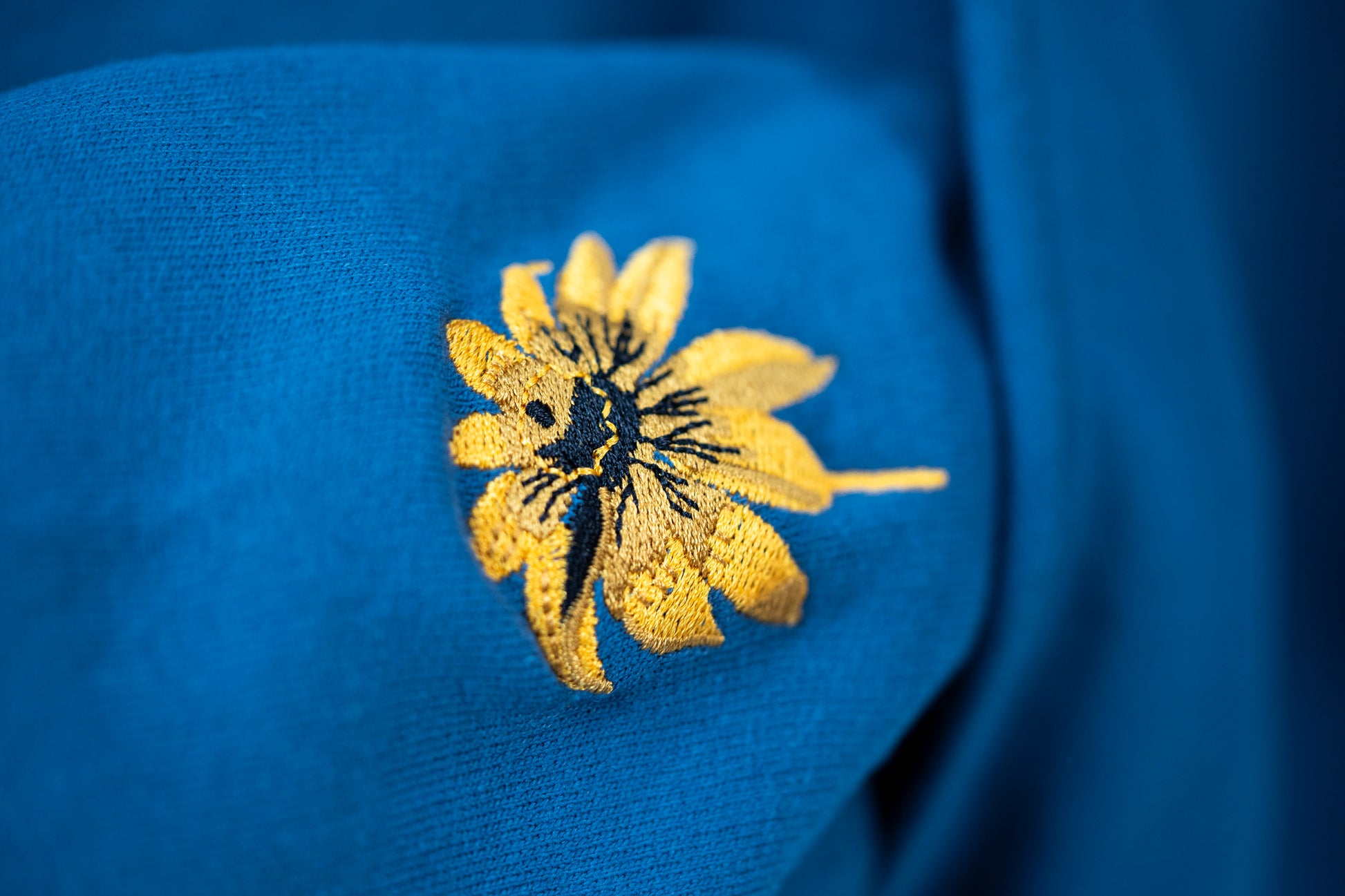 Good Day to Be Brave Hoodie